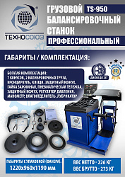 Комплект TS-56D Шиномонтажный стенд+TS-950 Балансировочный станок