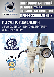Станок шиномонтажный TS-24 