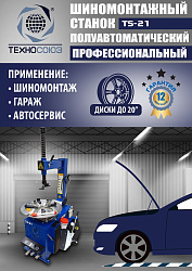 Станок шиномонтажный TS-21