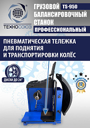 Комплект TS-56D Шиномонтажный стенд+TS-950 Балансировочный станок