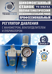 TS-3923A Станок шиномонтажный (с бустером) полуавтомат со вспомогательной рукой