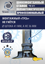 Станок шиномонтажный TS-21